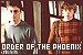  Harry, Ron and Hermione in OOTP